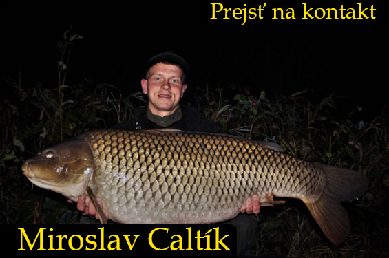 Konzultant Miroslav Caltík | MKCARP
