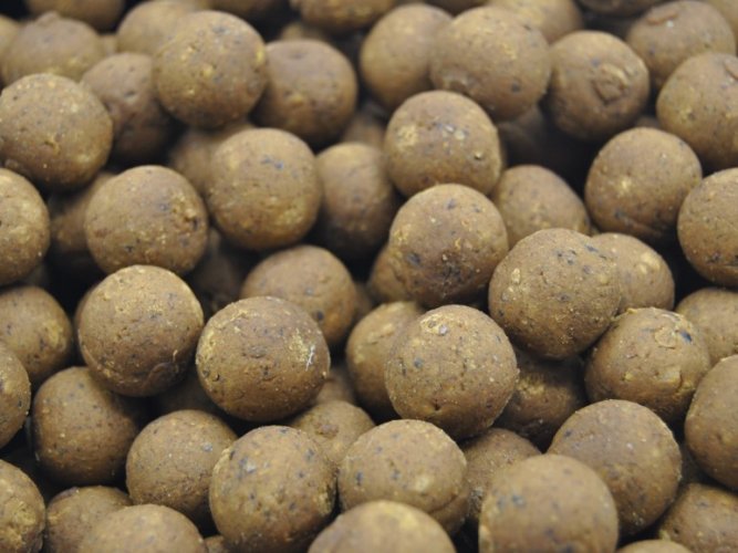 Boilies C2 24mm