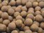 boilies H5 24mm