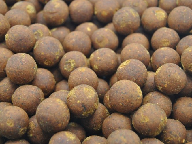 boilies H5 20mm